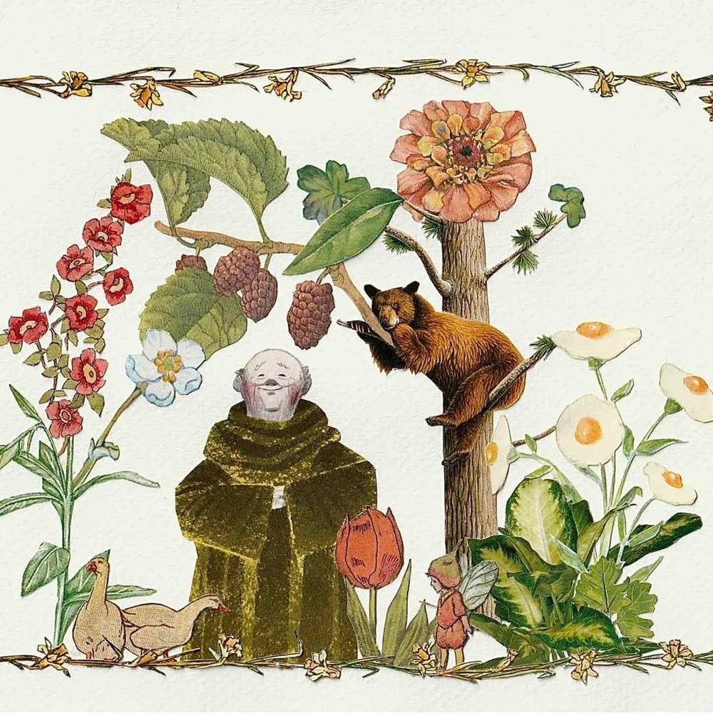 Floral and Animal Print Art